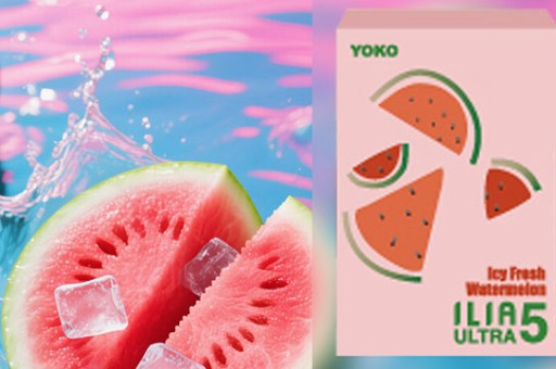 【老玩家推薦】在屏東找梟客5代？最便宜的購買管道大公開