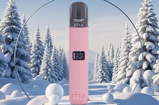 【PTT激推】CHILL8800口新竹哪裡買？2026最新實體店與現貨查詢指南